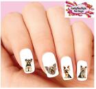 Waterslide Dog Nail Decals Set of 20 - Yorkie Yorkshire Terrier Assorted