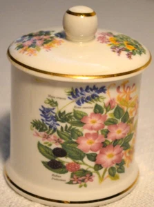 Fortnum & Mason Lidded Mustard, Sugar or Jam Pot, Made in London, England - Picture 1 of 22