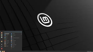 Kali-Linux, Parrot, BlackArch, Linux Mint Live USB, Ethical Hacking OS | USB 3.0 - Picture 1 of 4
