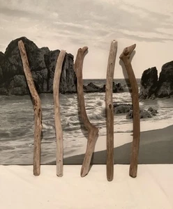 Driftwood Art ,Driftwood Sticks for Macrame, Reptile Cages, Crafting, Aquariums - Picture 1 of 6