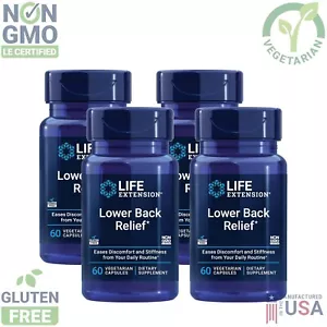 Lower Back Relief Life Extension Vegetarian Chaste Tree Vitex Ginger 4X 60Caps - Picture 1 of 7