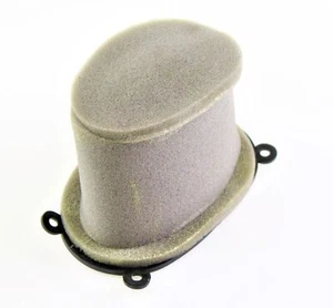 LUFTFILTER BENELLI TNT 125 49202V020000 - Bild 1 von 1