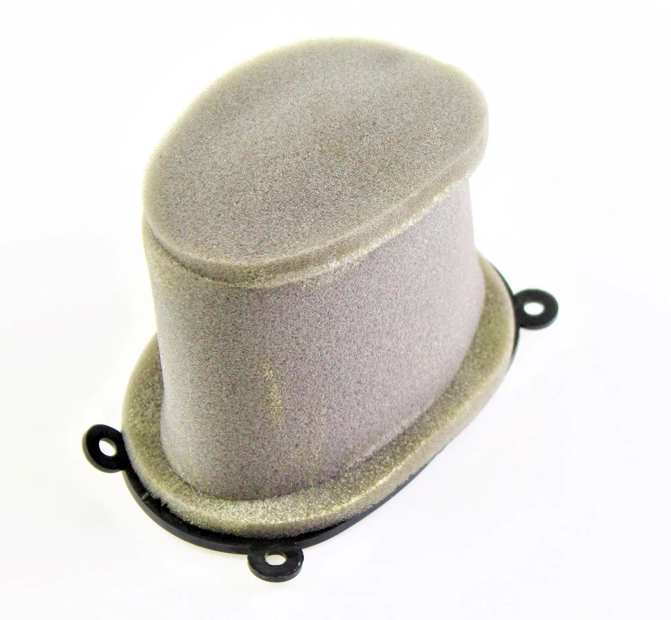 LUFTFILTER BENELLI TNT 125 49202V020000 - Bild 1 von 1