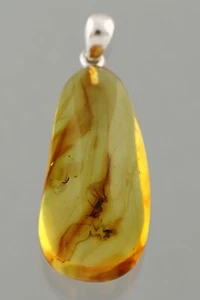 Fossil SPIDER & 2 INSECTS Genuine BALTIC AMBER Silver Pendant 4.4g 241106-3 - Picture 1 of 7