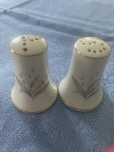 Set shaker sale e pepe Kaysons Fine China Japan 1961 vintage rapsodia dorata - Foto 1 di 9