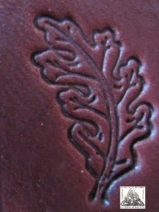 Auslaufmodell Midas detailliertes Eichenblatt rechts 1" Leder Stempel Werkzeug 8248 - Bild 1 von 3