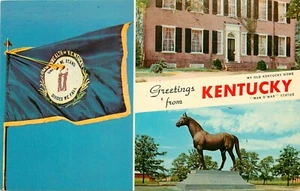 Grüße Kentucky Staatsflagge Blue Grass State Postkarte - Bild 1 von 2