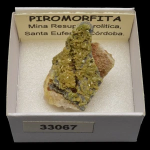 PIROMORFITA (M. Resuperferolitica, Santa Eufemia, Cordoba) #33067 / Pyromorphite - Picture 1 of 1