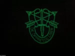 U.S. ARMY MORALE AUFNÄHER PATCH SPECIALFORCES CREST NACHTLEUCHTEND KLETT NEU - Bild 1 von 1