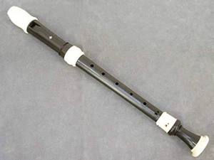 Zen-On Full-tone G-1A BRESSAN Baroque ABS Resin Alto Recorder F/S w/Tracking# - Picture 1 of 4