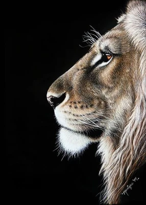 SALE * Original Big Cat Scratchboard Art Wildlife Painting LION Animal Portrait - Image 1 of 3
