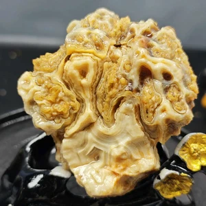 Colección de muestras de piedra de meteorización de ágata de jade Gobi milagrosa natural 175G - Imagen 1 de 5