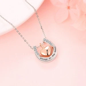 18K 925 Sterling Silver Horseshoe Heart Cremation Urn Pendant Necklace - Picture 1 of 2