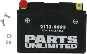 PU AGM Maintenance Free Battery YTZ14S BMW HP2 06-10