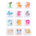 12 Month Stickers Babies 12 Month Baby Sticker First Year Stickers