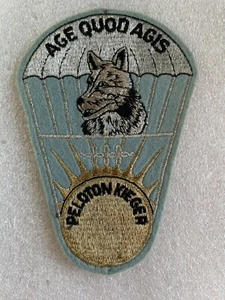 French 1°RHP Peleton Krieger Patch - Bild 1 von 2