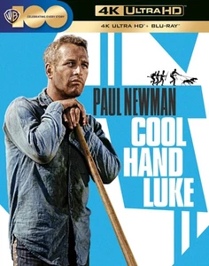 Cool Hand Luke (4K UHD Blu-ray) Clifton James Strother Martin Ralph Waite - Picture 1 of 2