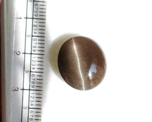 Natural Scapolite Cats Eye Cabochon 9.60 Carat Loose Gemstone Free Shipping - Picture 1 of 3