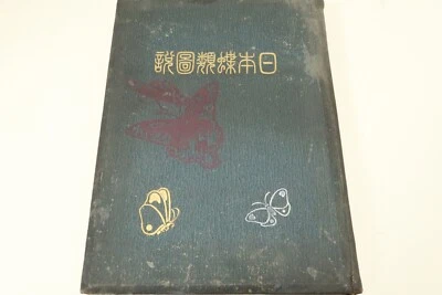 1904 Antique Illustrated Guide to Japanese Butterflies lithographic prints - Image 1 of 4