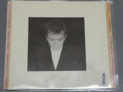 PETER GABRIEL <  Shaking The Snake RARE MATRIX  > VG (CD) - Bild 1 von 3