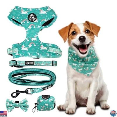 Combo de arnés y correa sin tirar - Chaleco y collar ajustables 6 en 1 para perros medianos Foto 1 de 4