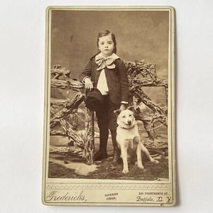 Antique Cabinet Card Photograph Adorable Little Boy & Dog Fritz Buffalo NY - Picture 1 of 11