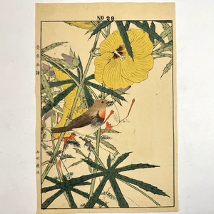 Japanese Woodblock Bird Print “Japanese robin” from “Keinen Kacho Gafu” - Picture 1 of 13