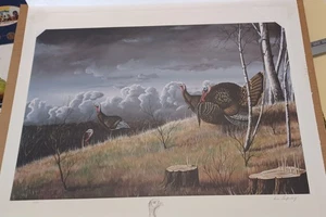 Eastern Wild Turkey Wildlife Print #2/550 Brain Laufenberg Highland WI Artist - Picture 1 of 6