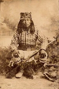 THE NATIVE AMERICAN PHOTO AND MUSIC DVD-VIDEO DISK - Imagen 1 de 1