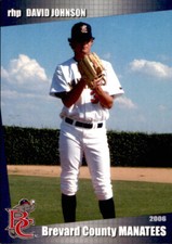 2006 Brevard County Manatees Grandstand #22 David Johnson Manhattan Beach CA