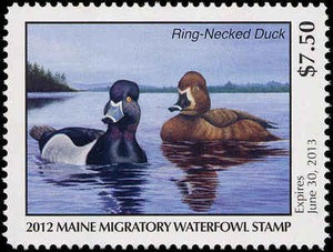MAINE #29 2012 STATE DUCK RING NECKED DUCK by Janine Folsom