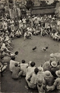 Cartolina Bali, Hanengevecht - 4938719 - Foto 1 di 2