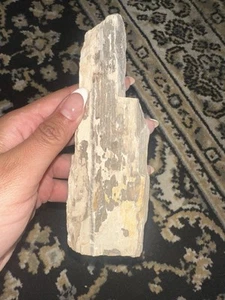 Versteinertes Holz  - Bild 1 von 2