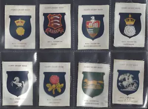 PHILLIPS (SILK) - COUNTY CRICKET BADGES (BDV) - FULL SET OF 17 CARDS - Picture 1 of 6