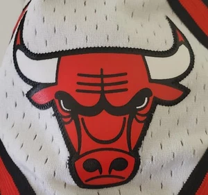 Mitchell & Ness Chicago Bulls Shorts Mens Small S NBA Alternate Swingman 1997-98 - Picture 1 of 6