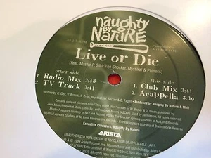 NAUGHTY BY NATURE LIVE OR DIE Master P Silkk The Shocker ARISTA 3606 DJ PROMO - Picture 1 of 1