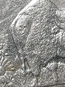 2005-D Kansas State Quarter MINT ERROR  💥 WOUNDED BUFFALO💥  - Picture 1 of 14