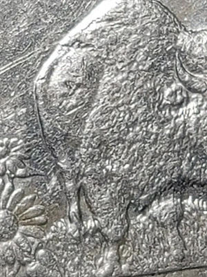 2005-D Kansas State Quarter MINT ERROR  💥 WOUNDED BUFFALO💥  - Image 1 of 4