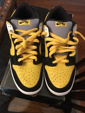 nike sb bic
