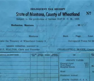 State of Montana Wheatland County ricevuta fiscale delinquenza Harlowton MT - Foto 1 di 3