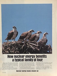 1991 US Council Energy Awareness PRINT AD Family Birds Nuclear Energy VTG 1990s - Picture 1 of 5