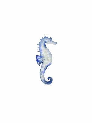 Seahorse, Ann Solo, Wall Art Print Poster    14" x 11"             2988 - Image 1 of 4