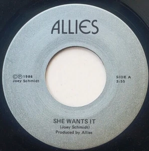 Allies 45 She Wants It - Unknown Private Rock - HEAR - Imagen 1 de 2