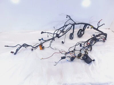 2005 05 BMW R1200ST R1200 ST Non-ABS Main Electrical Wire Harness Wiring Loom - Изображение 1 из 4