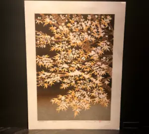 Hajime Namiki estampado en bloque de madera SAKURA 7 limitado a 200 Japón 2020 34 x 46,5 cm - Imagen 1 de 24
