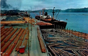Postal de colección transportando madera en el noroeste del Pacífico Washington WA U270 - Imagen 1 de 2