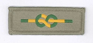 SCOUTS OF BELIZE - Scout Leader / Commissioner BRONZE WOLF Highest Medal Emblem - Picture 1 of 1