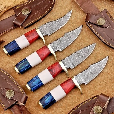 Juego de 4 cuchillos desolladores hoja Damasco | 6" | hueso de camello, funda de cuero 2116 Foto 1 de 4