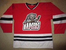 Wisconsin Badgers #19 Ice Hockey Team Jersey LG L 