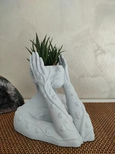 Vaso decorativo per piante grasse. Spettacolare! Decorative pot for succulents. - Foto 1 di 7